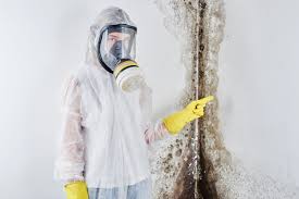  Mcgaheysville, VA Mold Removal Pros